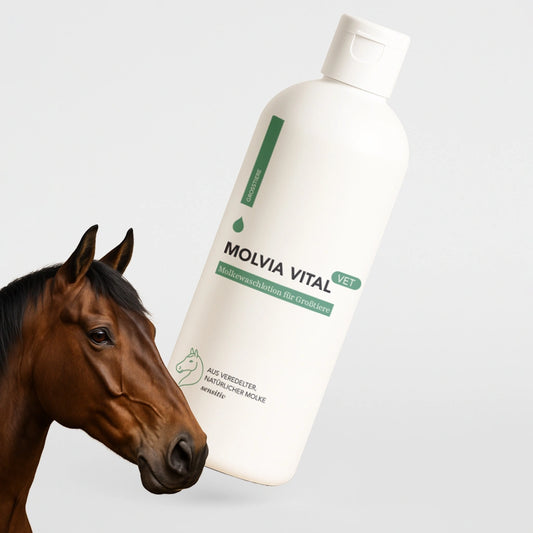 Molvia Vital® Tierwaschlotion / 500 ml