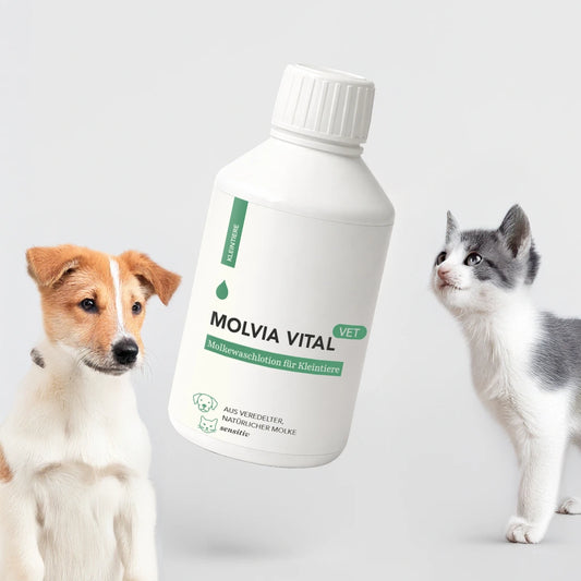 Molvia Vital® Tierwaschlotion / 240 ml